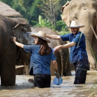Lanna Kingdom Tours
