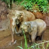 Lanna Kingdom Tours