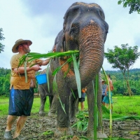 Lanna Kingdom Tours